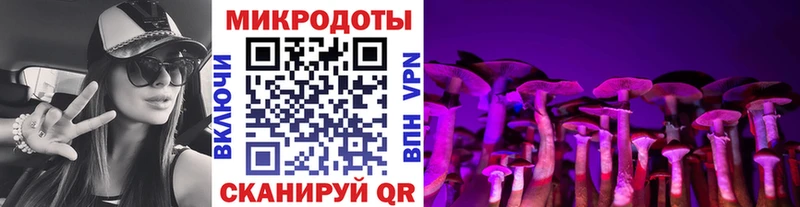 Псилоцибиновые грибы мицелий  где купить наркоту  ОМГ ОМГ как зайти  Белебей 